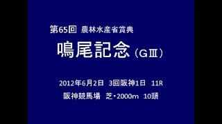 2012年 第65回 鳴尾記念（GⅢ） トゥザグローリー