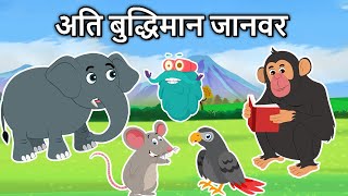 कौनसा जानवर अति बुद्धिमान है? | Super Intelligent Animals In Hindi | Dr. Binocs Show