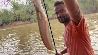 भुदरगड | चमचा गळ | पानग | Catch and Release | Spinning Rod and reel.