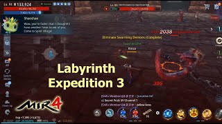 Labyrinth Expedition 3 - Eliminate Swarming Demons (MIR4 Arcadia Spirit Village Request)