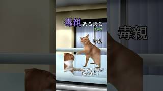 毒親あるあるを猫ミームにしてみた/洗濯物 #shorts #毒親あるある #毒親