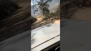 paderu mountain climbing in Mahindra jeep