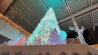 ジェイア一ル名古屋タカシマヤのクリスマスツリー🎄