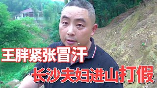 长沙夫妇进山打假，王胖紧张到冒汗，来之不易的局面岂能由他来？【王玮先生】