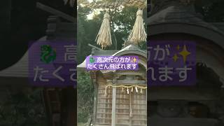 🧚このチャンスをお逃しなく！あなたも奇跡の目撃者✨💍✨🌈 ご縁結💖客神社#shorts#地球船龍神丸