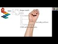 פרויקט בנושא sign language image classification using cnn. מציגים אחיקר שטרן קונשטוק ואלון מרקוביץ