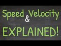 What is the Difference between Speed and Velocity? | Tadashi Science