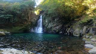 鳴谷一の滝  和歌山県新宮市