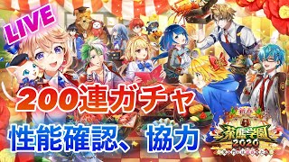 【白猫プロジェクト】正月茶熊ガチャ最大200連！！性能確認、協力やっていきます！！(概要欄見てください)