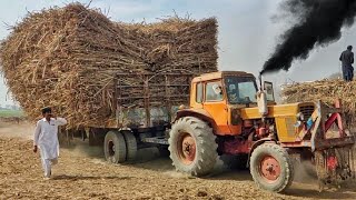 old is gold Belarus tractor sugarcane load heavy trailer pulling out video