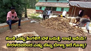 COMPLETE DETAILS ABOUT GINGER CULTIVATION IN KANNADA. #GINGER. #GINGERCULTIVATION.