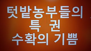 {텃밭농부 #325} 텃밭농부들이 누리는 특권 .수확의기쁨.