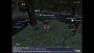 Final Fantasy XI PC gameplay footage - wandering around West Ronfaure