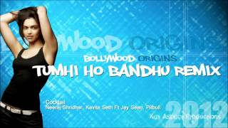 Tumhi Ho Bandhu Remix Feat  Jay Sean, Pitbull   YouTube 3