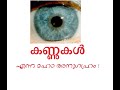 കണ്ണുകൾ എന്ന മഹാ അനുഗ്രഹം the miracle of the human eye