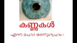 'കണ്ണുകൾ' എന്ന മഹാ അനുഗ്രഹം ! (The Miracle of the Human Eye)