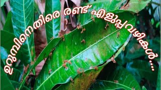 How to Get Rid of ants,Urumb,ഉറുമ്പിനെ എന്നേക്കുമായി തുരത്താൻ എളുപ്പ വഴി