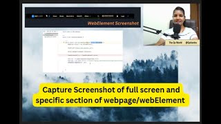 Selenium -14 || In हिन्दी, how to take screenshot of full screen and specific WebElement on web page