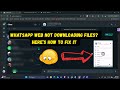 WhatsApp Web Not Downloading Files? Here’s How to Fix It