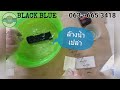 ทดลอง น้ำยารมดำสูตรเย็น black blue