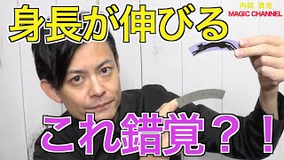 【さっかく定規】猫の身長が伸びる？！