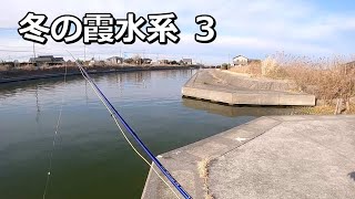 【水温7～8℃】冬の霞水系フライでバス釣り（３）