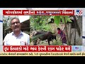 lumpy returns almost 15 cattles died of deadly diseases in surat gujarat tv9gujaratinews