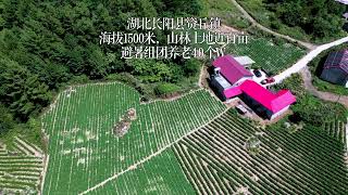 海拔1500高山大平原，房屋山林土地多，组团养老避暑好地方40个出