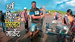 Harnai Fish Market - Auction 🦐 | मोठ्या माशांचा लिलाव, हर्णे बंदर - Dapoli (Konkan)