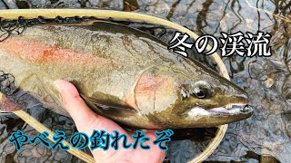 【厳冬期の渓流ルアー】倒木の影にバケモノが！？【Fishing Log】#EgeriaNativePerformance53L