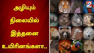 அழியும் நிலையில் இத்தனை உயிரினங்களா