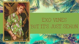 EXO vines but it’s just Sehun