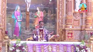 🔴 Live 21 December 2024 @ Vailankanni Shrine Basilica