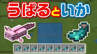 【終了】イカスミ目的なウーパールーパー＆発光するイカトラップで墨袋ゲット[マイクラ統合版/1.17/Bedrock](Win10/PE/Switch/PS/Xbox)