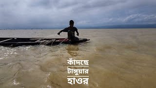 হাওরের কান্না | পাটলাই নদী | টাঙ্গুয়ার হাওর | বানবাসীদের খবর | তাহিরপুর | Mohsin ul Hakim