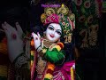 राधे बृज जन मन सुखकारी radha krishna status video ♥️ krishnastatus youtubeshorts ytshorts radha