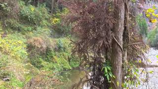 Walking trail from Yamashiro Takao to Arashiyama Part 1