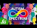 What Is the Autism Spectrum?