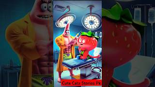 Strawberry Cat With Patient #cat #catlover #music #funny #funnycats #cuteanimal #cartoon #shorts