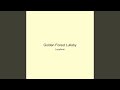 Golden Forest Lullaby