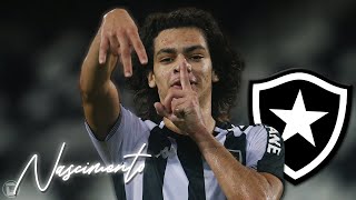 MATHEUS NASCIMENTO • Botafogo • Genius Skills, Dribbles, Goals & Assists • 2022