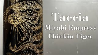 Taccia Miyabi Empress Chinkin Tiger