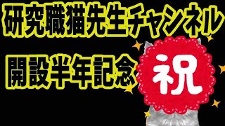 研究職猫先生チャンネルが何と開設して半年経った！？