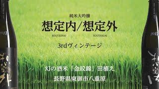 純米大吟醸「想定内」「想定外」3rdヴィンテージ田植え