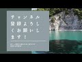 幸せを感じれるセロトニンを増やす『脳の覚醒』不安解消、あなたは一人じゃない【龍の背中に乗って覚醒】瀬織津姫・超感覚・本質・龍神・スピリチュアル・覚醒・開運