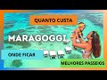 Quanto custa viajar para Maragogi com todos os roteiros e todas as dicas. Atualizado 2021