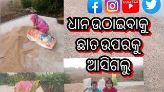 ମେଘ ଆଶିବାର ଜାଣି  ଛାତରୁ ଧାନ ଉଠାଇ ଆଣିଲେ https://www.youtube.com/@ChagalaMita