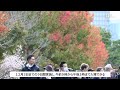 紅葉の皇居、乾通り公開　12月3日まで9日間