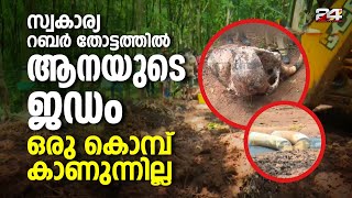 ചേലക്കരയിലേത് കാട്ടാന വേട്ട; കൊമ്പ് വില്പന നടത്തിയെന്ന നിഗമനം