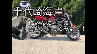 千代崎海岸に行ってみよっ！